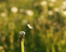 Flieg, flieg! / 23.05.11