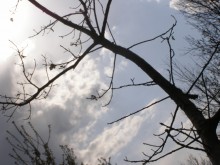 Sky =) / ***