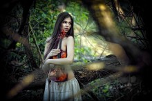 Porträt einer Violine (Sonnenuntergang) / ***