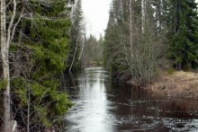 Kushereka / ***