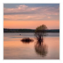 Abend mit Etüde Fischer / ***