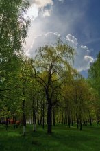 Spring in the Park / ***