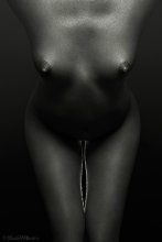 Ladyrinth / ***