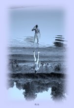 aus dem Boden / ***