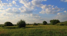 Auf der Wiese / **********