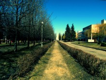 Allee / ***