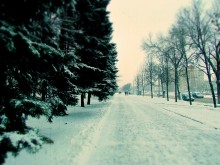 Ein Stück Winter ... / ***