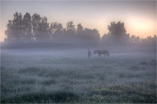 Morgen / ***