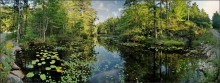Abend im Wald / ***