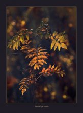 Grüße von Herbst / ***
