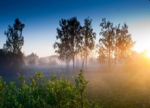 Dawn am Minsk / *******