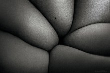 Twig / Piter