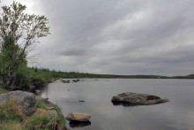 Lake / ***
