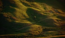 Auf der Krim-Berge / ***