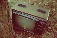 links auf die Natur .. Telly Uhr / ***