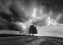 Über die Spalte Mast und Wind / ***