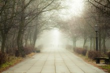 Herbst und Nebel Broadway / ***