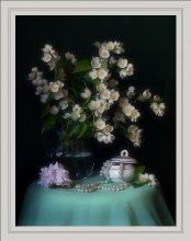 Jasmine Abend / *******
