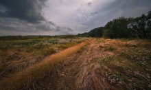 Als Flöße, Pontons ging, donnerte miteinander Basov, Eisen Ton, genau unter dem Dach seines Fußes. / ***