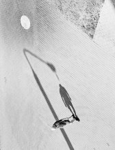Vollmond / ***