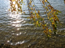 Autumn Motiv / ***