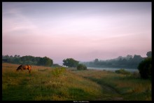 In der Stille / ***