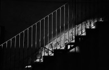 Pro Light 2 / .......