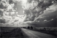 riders on the storm / ***