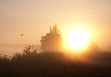 Morgendämmerung / ******