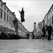 City / ***