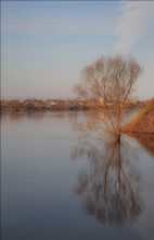 Spring reflection / *****