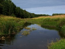 Rückstau / ***