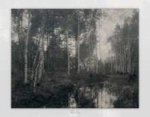 Birch Aue / *********