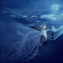 in a moonlight / .....