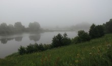 Nebliger Morgen / ***