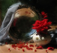 Study mit einer Rose / ********************