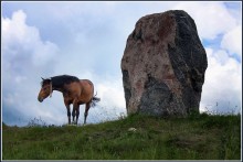 ... Auf der linken Seite gehen - das Pferd verliert ... / ***