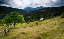 Landschaft im ländlichen Raum / ***