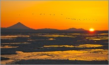 Guten Morgen Sonnenschein ... / ***
