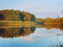 Sommerabend / ***