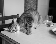 Montag Morgen / .....