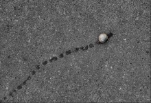 wurzelt in dem Sinn des Lebens / .......................... . . . .