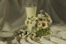Milch / 10.07.11.