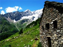 Il mondo intorno / bellezza