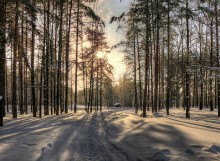zimushka Winter / ***