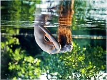 Do not release me as it is possible longer / *****