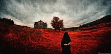 The Scarlet Garden / * * *