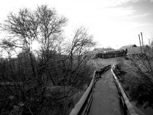 Brücke / ***