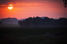Morgen "Landwirt" / ***