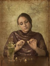 Likes Abneigungen / ***************************